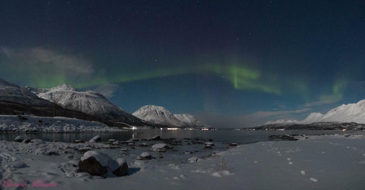 Sjursnes Fjordferie Apartman Kültér fotó