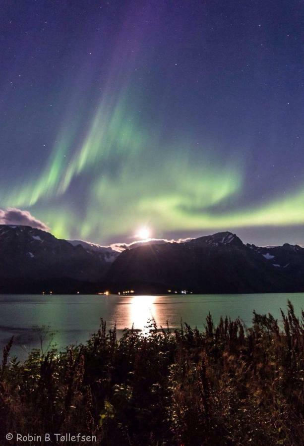 Sjursnes Fjordferie Apartman Kültér fotó