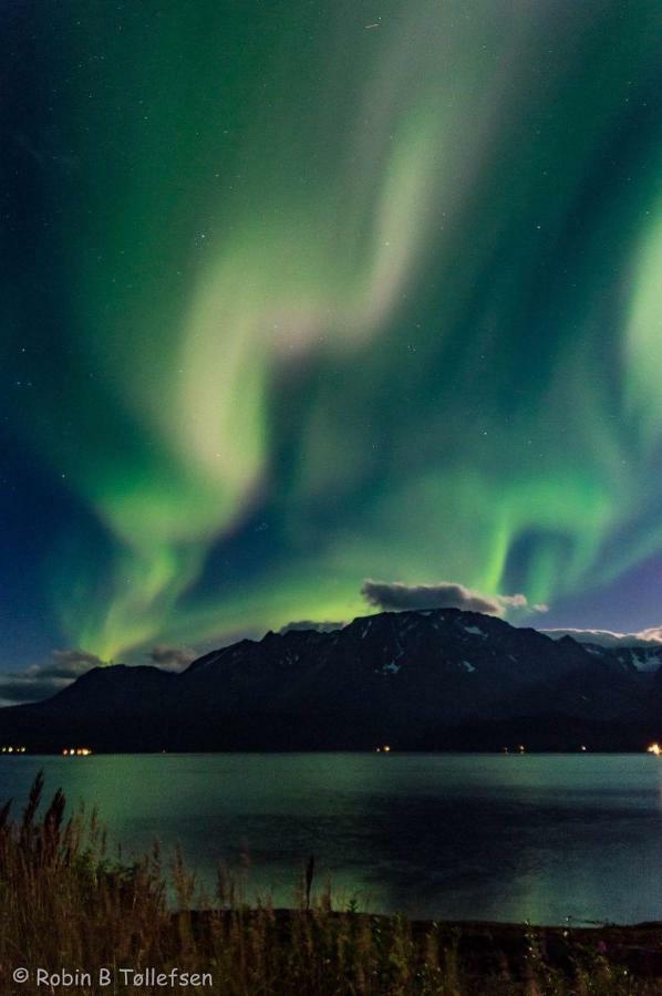 Sjursnes Fjordferie Apartman Kültér fotó