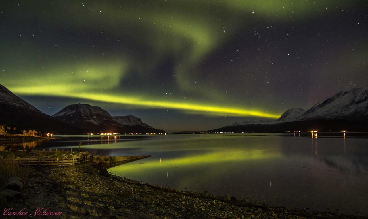 Sjursnes Fjordferie Apartman Kültér fotó