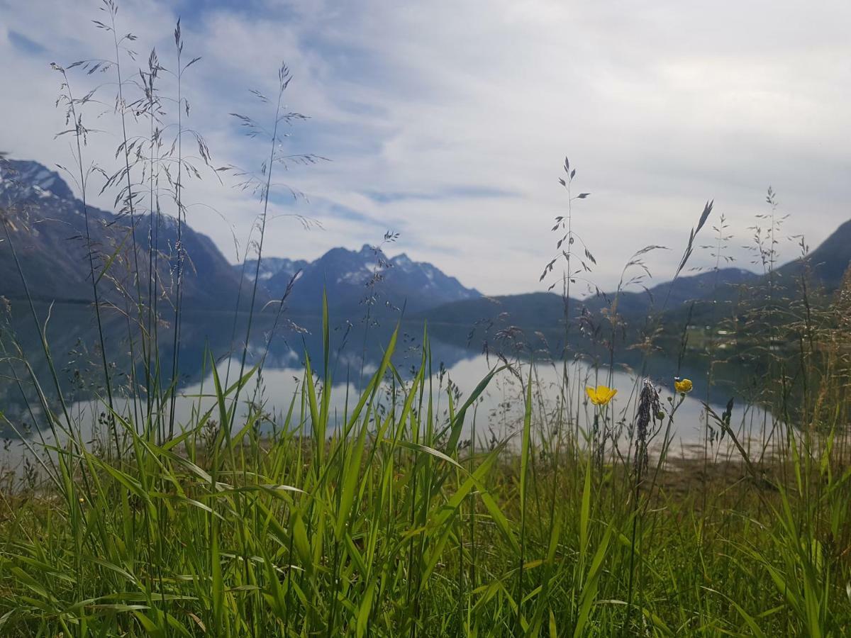 Sjursnes Fjordferie Apartman Kültér fotó